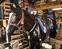 Horse Tack Shop